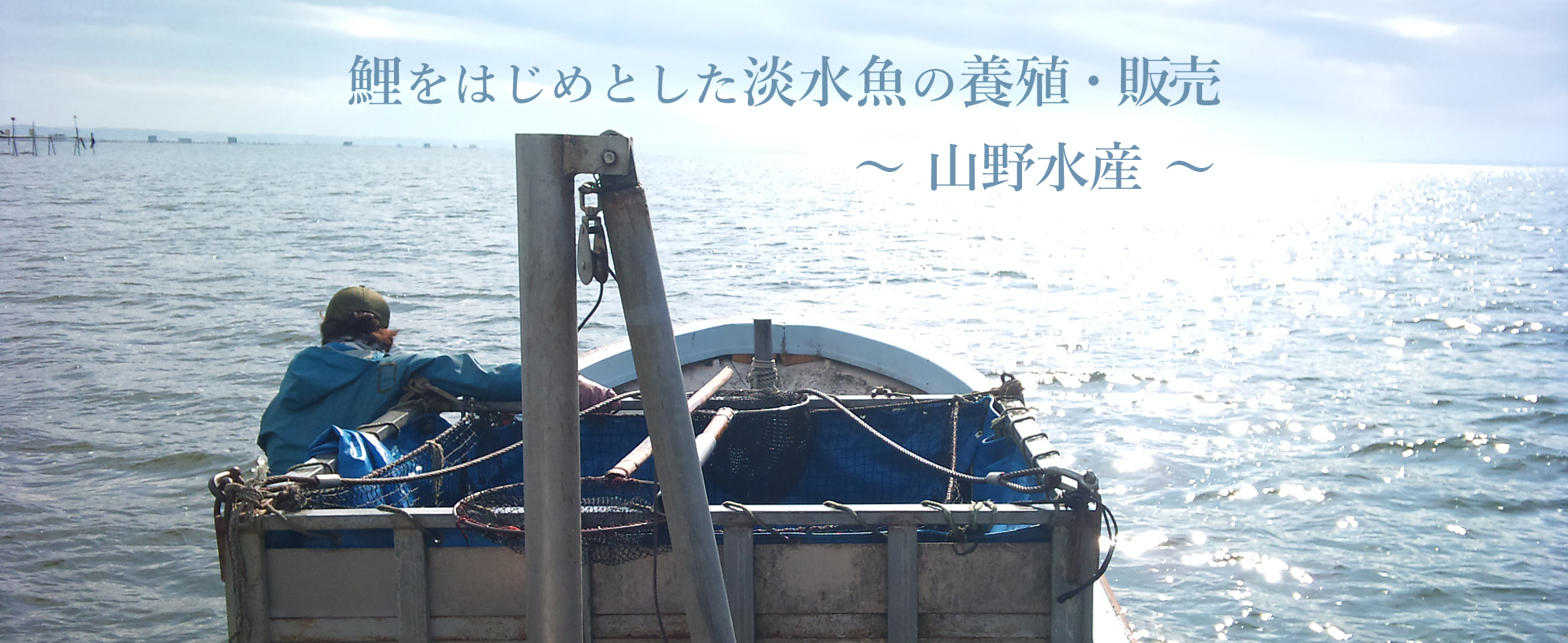 鯉をはじめとした淡水魚の養殖・販売：茨城県かすみがうら市の山野水産案内